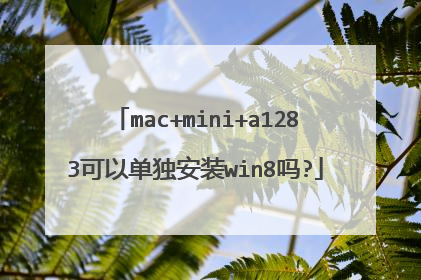 mac+mini+a1283可以单独安装win8吗?