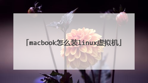 macbook怎么装linux虚拟机