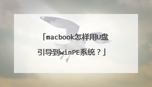 macbook怎样用U盘引导到winPE系统?
