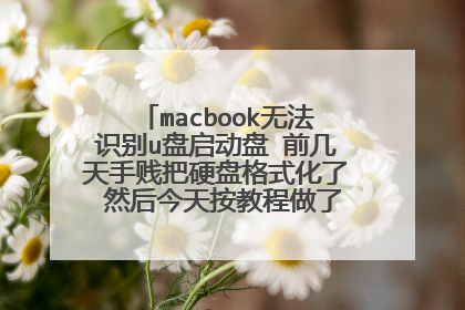 macbook无法识别u盘启动盘 前几天手贱把硬盘格式化了 然后今天按教程做了一个u盘启动盘 按
