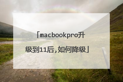 macbookpro升级到11后,如何降级