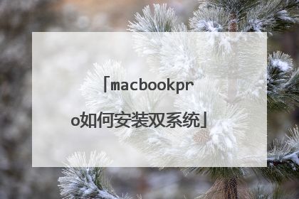 macbookpro如何安装双系统