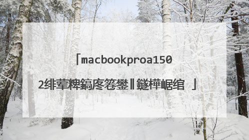 macbookproa1502绯荤粺鎬庝箞鐢║鐩樺崌绾�