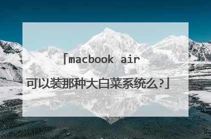 macbook air 可以装那种大白菜系统么?