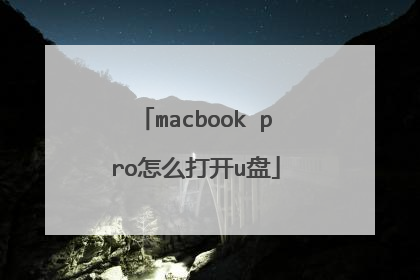 macbook pro怎么打开u盘