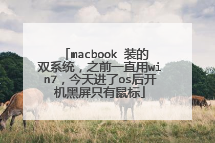 macbook 装的双系统,之前一直用win7,今天进了os后开机黑屏只有鼠标