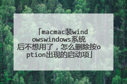 macmac装windowswindows系统后不想用了,怎么删除按option出现的启动项