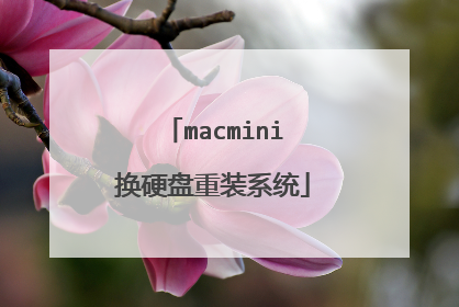 macmini换硬盘重装系统