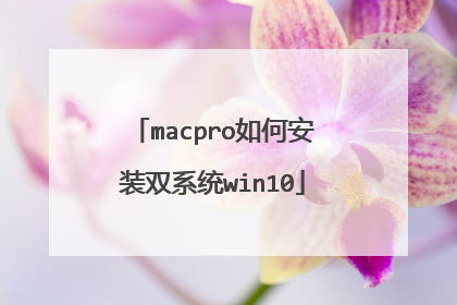 macpro如何安装双系统win10