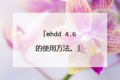 mhdd 4.6 的使用方法。