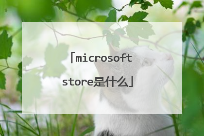 microsoft store是什么