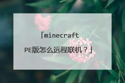 minecraft PE版怎么远程联机?