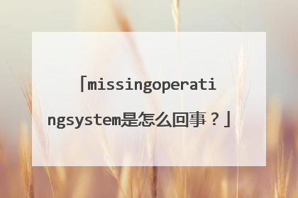 missingoperatingsystem是怎么回事?