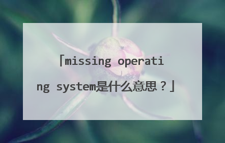 missing operating system是什么意思？