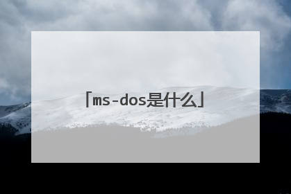 ms-dos是什么