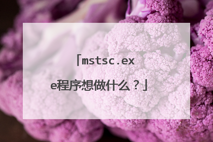 mstsc.exe程序想做什么?