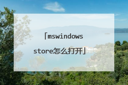 mswindowsstore怎么打开