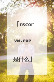 mscorvw.exe是什么