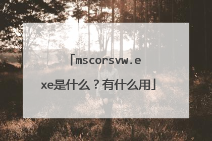 mscorsvw.exe是什么?有什么用