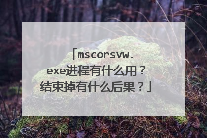 mscorsvw.exe进程有什么用?结束掉有什么后果?