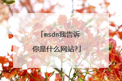 msdn我告诉你是什么网站?