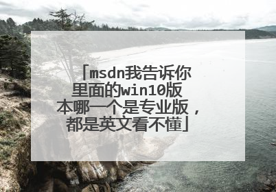 msdn我告诉你里面的win10版本哪一个是专业版,都是英文看不懂
