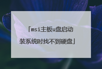 msi主板u盘启动装系统时找不到硬盘