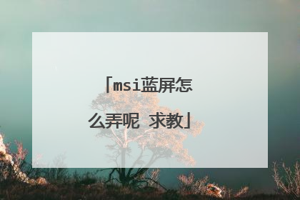 msi蓝屏怎么弄呢 求教