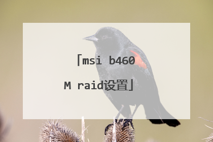 msi b460M raid设置