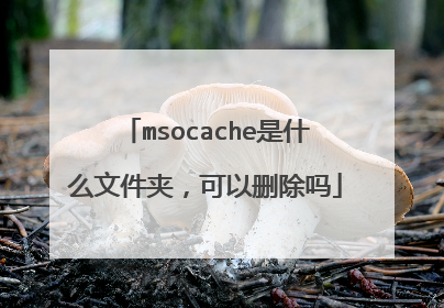 msocache是什么文件夹,可以删除吗