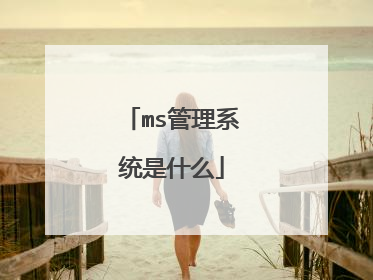 ms管理系统是什么