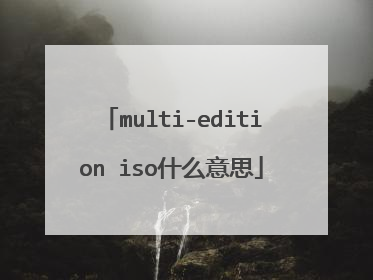 multi-edition iso什么意思