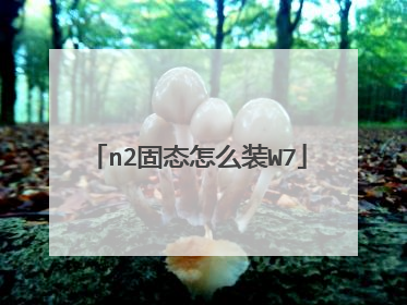 n2固态怎么装W7
