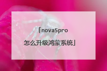 nova5pro怎么升级鸿蒙系统