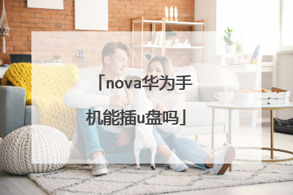 nova华为手机能插u盘吗