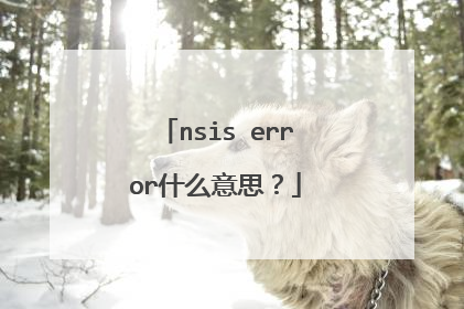 nsis error什么意思?