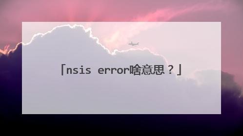 nsis error啥意思?