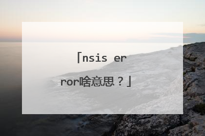 nsis error啥意思?
