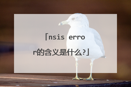 nsis error的含义是什么?