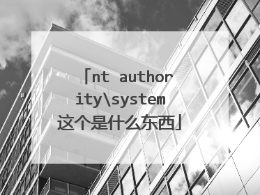 nt authoritysystem这个是什么东西