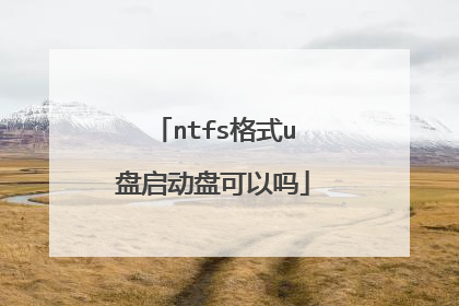 ntfs格式u盘启动盘可以吗