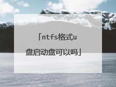 ntfs格式u盘启动盘可以吗