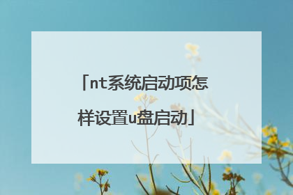 nt系统启动项怎样设置u盘启动
