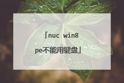 nuc win8pe不能用键盘