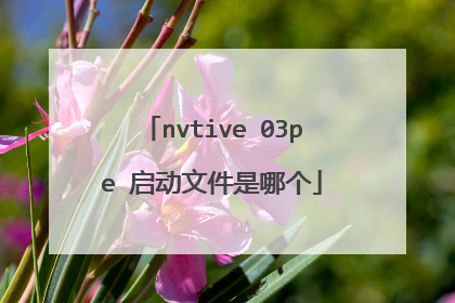 nvtive 03pe 启动文件是哪个