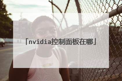 nvidia控制面板在哪
