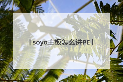 soyo主板怎么进PE