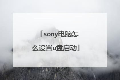 sony电脑怎么设置u盘启动