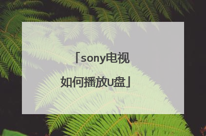 sony电视如何播放U盘