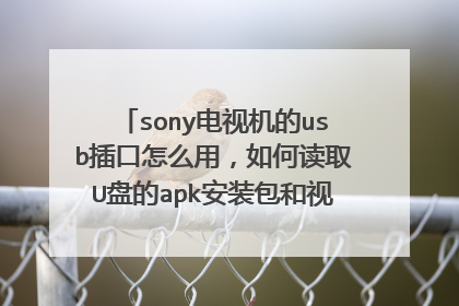 sony电视机的usb插口怎么用,如何读取U盘的apk安装包和视频等文件,求教程!!
